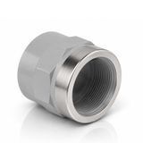 MIMC. Double socket CPVC with solvent socket and BSP threaded with STAINLESS ring. Diameter range  d16*3/8 - 63*2"